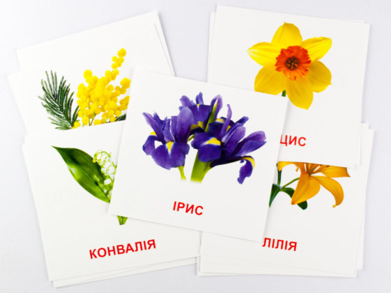 Картки міні Квіти (110х110 мм) Зірка 72754 (9789663336930) (286284) - Зображення 3