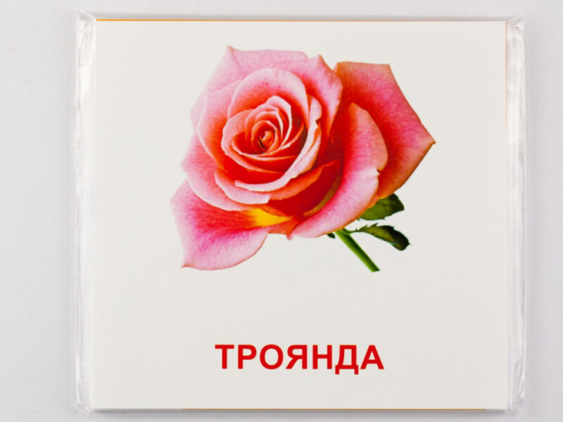 Картки міні Квіти (110х110 мм) Зірка 72754 (9789663336930) (286284) - Зображення 6
