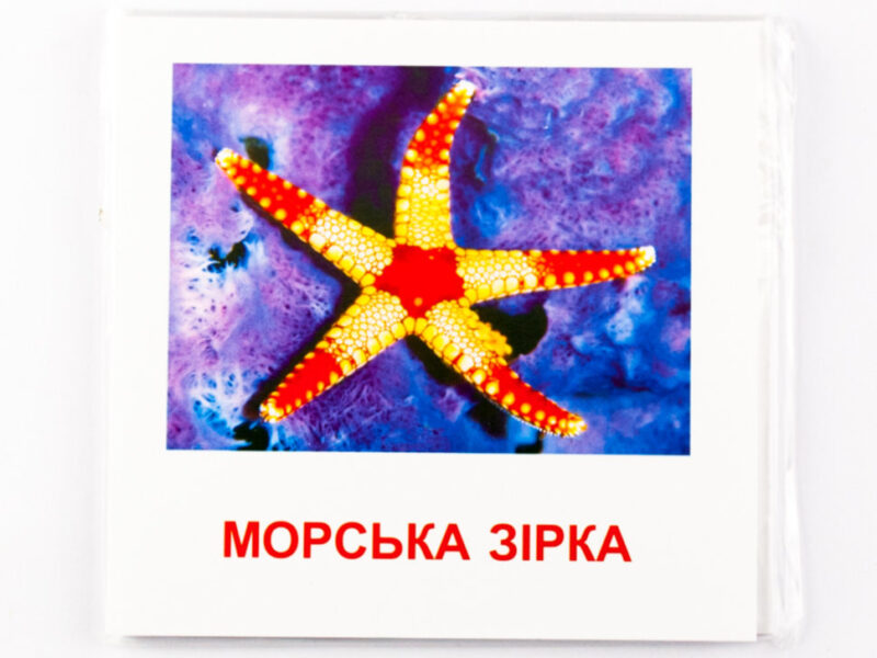 Картки міні Морські жителі (110х110 мм) Зірка 72752 (9789663336053) (286286) - Зображення 6