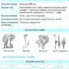 Рятівник Біологія у визначеннях таблицях і схемах 6-11 клас (Укр) Ранок Ш109024У (9786170920270) (221705) - Зображення 5