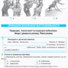 Основи здоров'я 7 клас. Робочий зошит. Ранок Ш900897У (9786170924131) (294605) - Зображення 6
