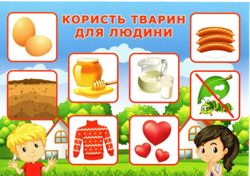 НУШ Комплекс дидактичних ігор для учнів 1-2 класів «Світ тварин» (Укр) Ранок (15211014У) (4823076144050) (314580) - Зображення 2