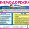 Мнемодоріжки Зима Навчальна гра (Укр) Ранок (15222003У) (4823076144494) (344210) - Зображення 7