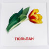 Картки міні Квіти (110х110 мм) Зірка 72754 (9789663336930) (286284) - Зображення 2