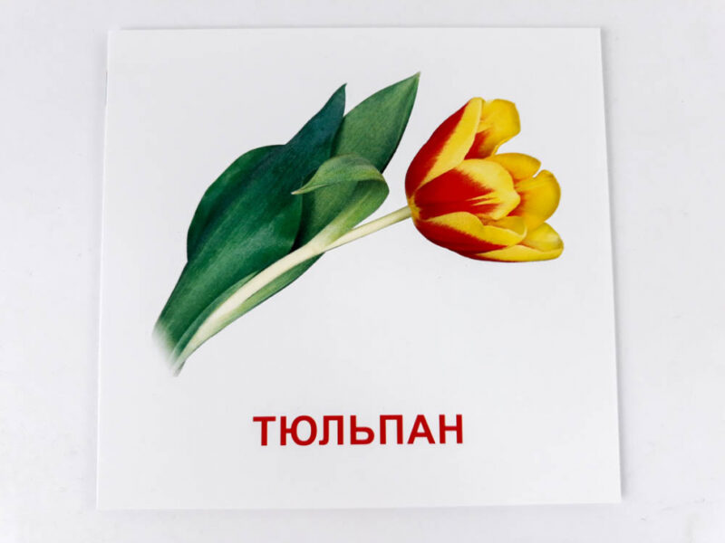 Картки міні Квіти (110х110 мм) Зірка 72754 (9789663336930) (286284) - Зображення 2