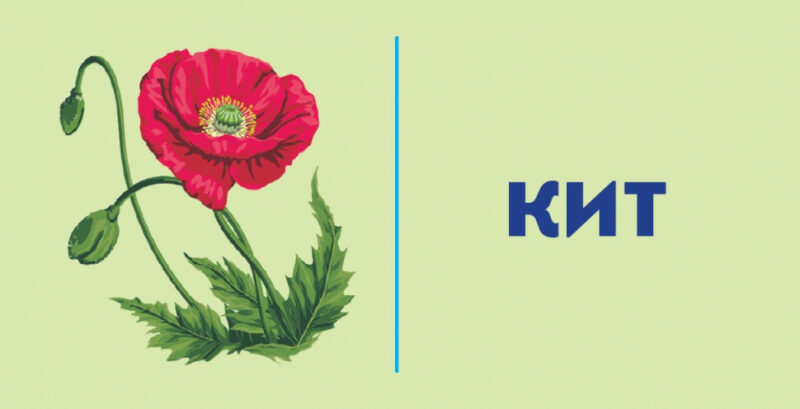 Картки НУШ Навчальне доміно Словниковий ланцюжок (Укр) Основа НУД020 (2712710027335) (377796) - Зображення 4