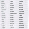 Українська мова 2 клас. 3000 вправ та завдань (Укр) Час майстрів (9789669152657) (434083) - Зображення 2