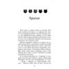 Здіймається буря. Коти-вояки. Пророцтва починаються. Книга 4. Ерін Гантер (Укр) АССА (9786177312931) (287307) - Зображення 2