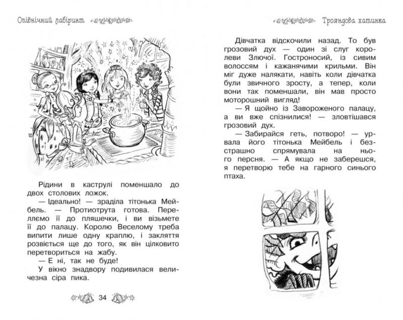 Таємне королівство Опівнічний лабіринт Книга 12 (Укр) Рідна мова (9789669173003) (344636) - Зображення 2