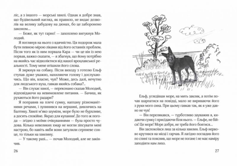 Кудлаті історії. Ельф Всемогутній. Марцін Палаш (Укр) Школа (9789664296035) (350121) - Зображення 2