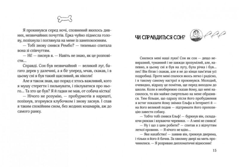 Кудлаті історії. Ключик до Ельфа. Марцін Палаш (Укр) Школа (9789664296011) (350173) - Зображення 2
