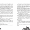 Timeless. Сапфірова книга. Керстін Гір Школа (9789664294444) (281671) - Зображення 2