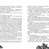 Timeless. Сапфірова книга. Керстін Гір Школа (9789664294444) (281671) - Зображення 3