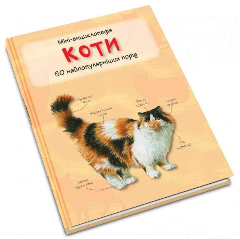 Міні-енциклопедія Коти (Укр) КМ-Букс (9789669482945) (351817) - Зображення 3