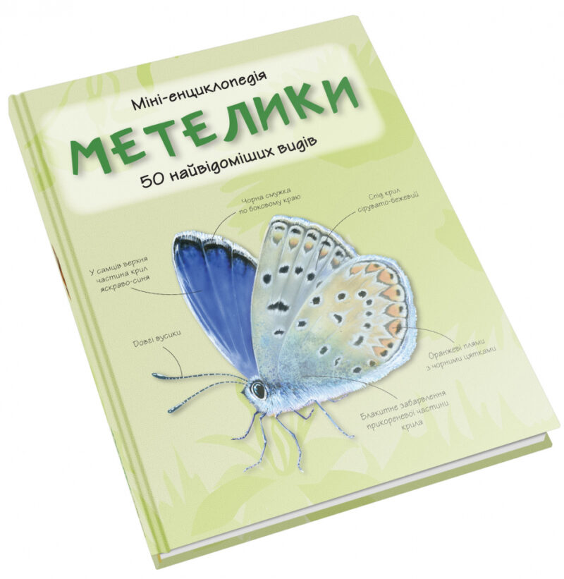 Метелики 50 найвідоміших видів. Міні-енциклопедія (Укр) КМ-Букс (9789669482952) (351818) - Зображення 2
