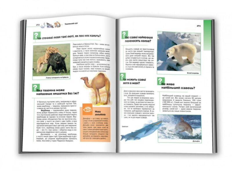 Що Чому Навіщо Велика книга запитань та відповідей 2-е видання (Укр) КМ-Букс (9789669483768) (351822) - Зображення 4