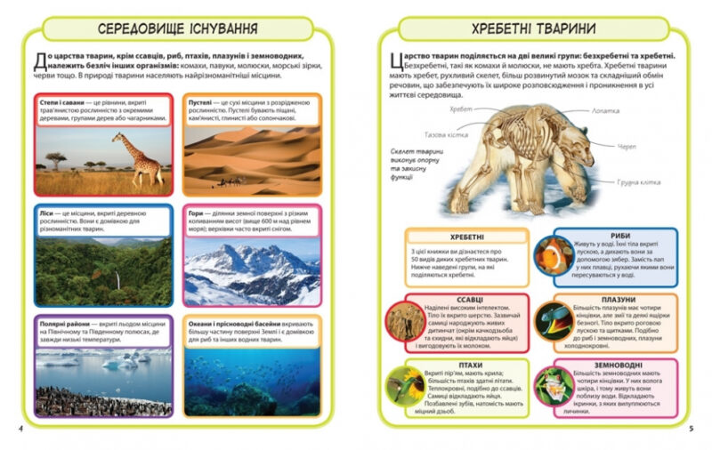 Міні-енциклопедія Дикі тварини 50 найвідоміших видів (Укр) КМ-Букс (9789669482907) (428957) - Зображення 2