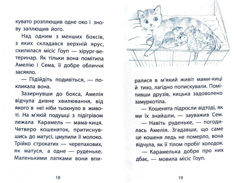 Кролик та його халепи. Історії порятунку. Книга 2 (Укр) АССА (9786177660476) (350382) - Зображення 8