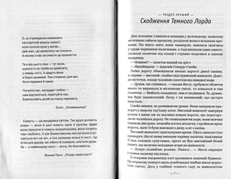 Гаррі Поттер і Смертельні реліквії Книга 7 (Укр) А-ба-ба-га-ла-ма-га (9789667047702) (279130) - Зображення 5