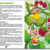Казочки помічникики (Укр) Глорія (9786175368756) (346733) - Зображення 3