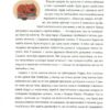 Заборонений Санта або Перше Різдво Славка (Укр) Vivat (9789669420848) (351372) - Зображення 4