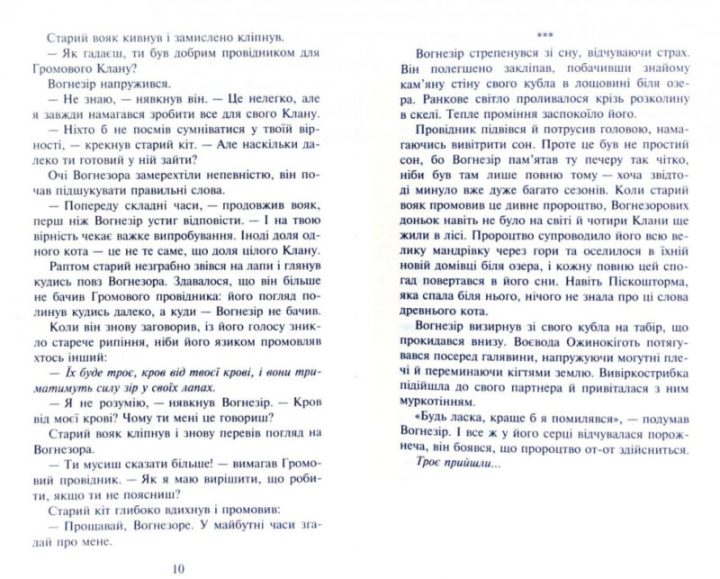 Прозір. Коти-вояки. Сила трьох. Книга 1. Ерін Гантер (Укр) АССА (9786177670819) (445021) - Зображення 3