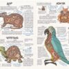 Енциклопедія Тварини Як це влаштовано (Укр) Школа (9789664295526) (299753) - Зображення 3