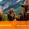 Моя перша велика книжка Про світ (Укр) Vivat (9789669427588) (306931) - Зображення 3