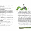 Шкарпеткожери повертаються Книга 2 (Укр) Школа (9789664294604) (287778) - Зображення 3
