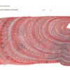 Енциклопедія Що ховається у морі (Укр) Видавництво Старого Лева (9786176794073) (277051) - Зображення 2