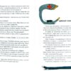 Шкарпеткожери завжди поряд Книга 3 (Укр) Школа (9789664294611) (299516) - Зображення 3
