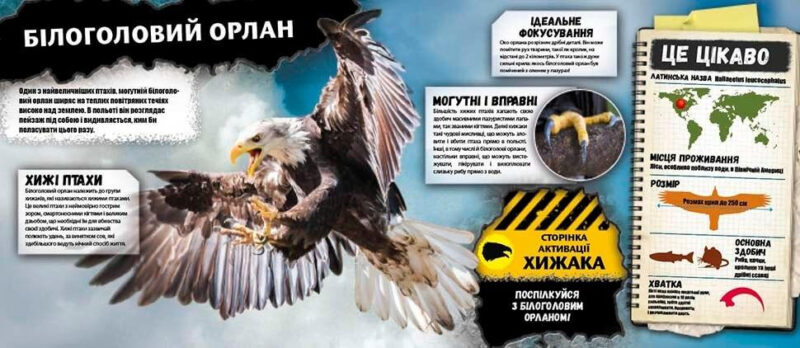 Хижаки Енциклопедія з доповненою реальністю iExplore (Укр) Талант (9789669356079) (346881) - Зображення 3