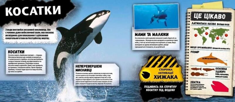 Хижаки Енциклопедія з доповненою реальністю iExplore (Укр) Талант (9789669356079) (346881) - Зображення 5