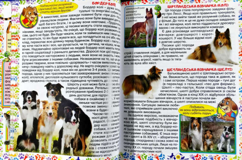 Енциклопедія Домашні улюбленці (Укр) Глорія (9786175368510) (300714) - Зображення 6