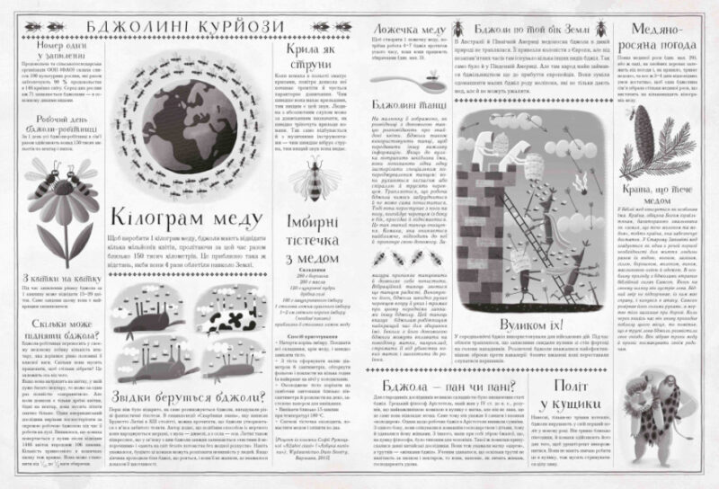 Бджоли (Укр) Час майстрів (9789669152398) (446261) - Зображення 4
