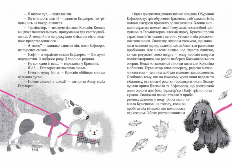 Великий вибух. Барбара Космовська (Укр) Школа (9789664294703) (355701) - Зображення 2