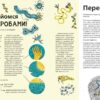 Воно заразне. Інфекційний світ патогенів та мікробів Vivat (9789669821591) (428717) - Зображення 5