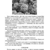 Посібник для вчителя. Тематичні дні у 3 класі Основа НУР037 (9786170038890) (445126) - Зображення 7