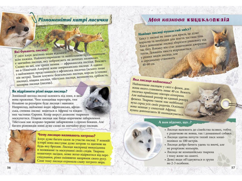 Моя казкова енциклопедія Про тварин АССА (9786177661619) (448249) - Зображення 3