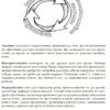 Нові формати освіти Довідник лінивого вчителя (Укр) НФМ008 Основа (9786170038333) (409568) - Зображення 10