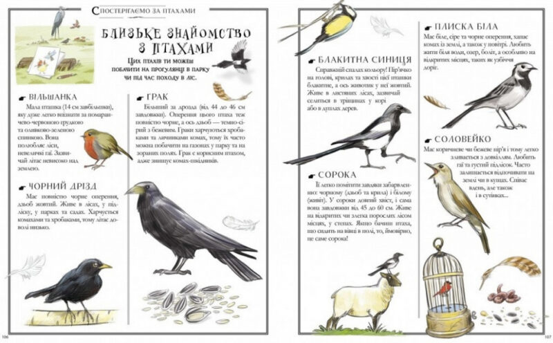 Boys’ Book. Підручник відважного мандрівника (Укр) Час Майстрів (9789669153005) (454965) - Зображення 3