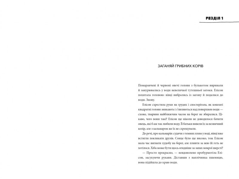 Minecraft. Втрачені щоденники. Мер Лафферт (Укр) Артбукс (9786177688821) (455316) - Зображення 4