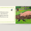 Поросинка. Аксель Шеффлер (Укр) Артбукс (9786177940226) (455320) - Зображення 2