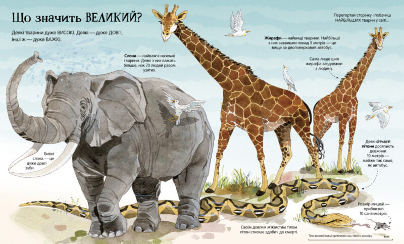 Велика книга тварин. Гейзел Маскелл (Укр) Артбукс (9786177940325) (455328) - Зображення 2
