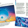 Генетика для дітей X та Y Дівчинка або хлопчик? (Укр) Ранок С1354004У (9786170969910) (450282) - Зображення 3