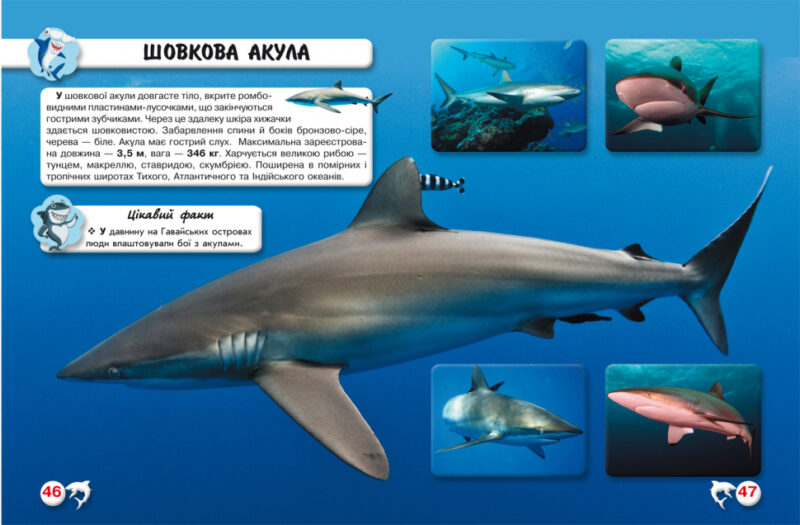 Енциклопедія Світ навколо нас. Акули (Укр) Кристал Бук (9789669369147) (342469) - Зображення 3