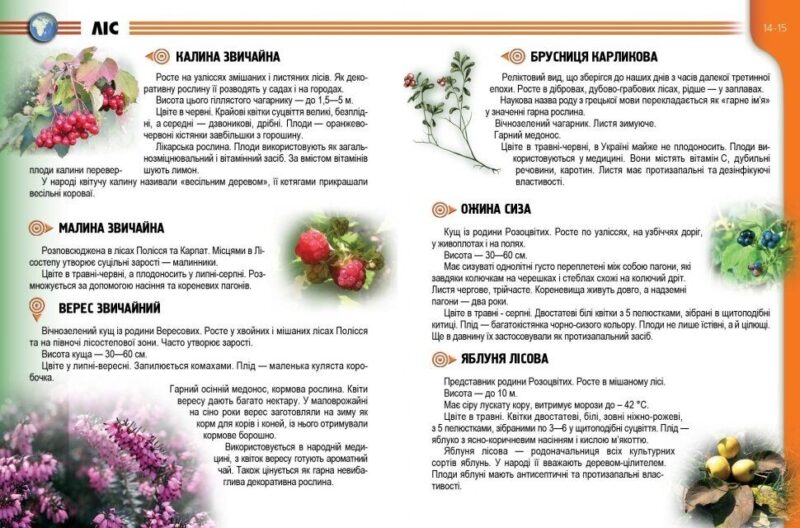 Енциклопедія для допитливих. Рослини і тварини України (Укр) Талант (9786176950622) (287061) - Зображення 4
