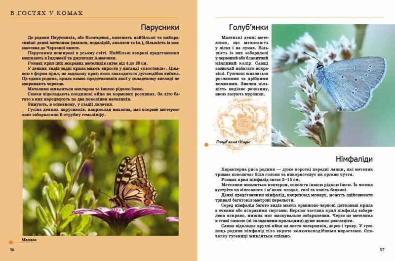 Енциклопедія для допитливих. Комахи та інші (Укр) Талант (9789669352385) (294706) - Зображення 2