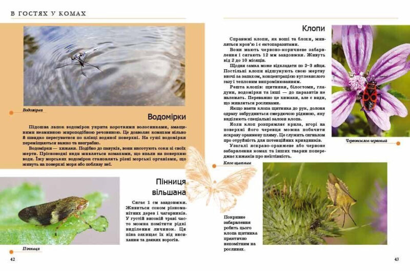 Енциклопедія для допитливих. Комахи та інші (Укр) Талант (9789669352385) (294706) - Зображення 4