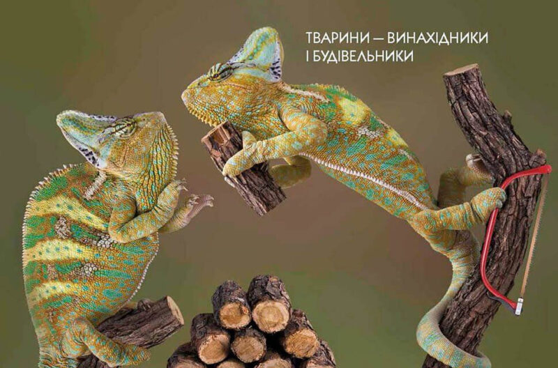 Тварини-винахідники і будівельники. Енциклопедія для допитливих (Укр) Талант (9789669356048) (306001) - Зображення 7